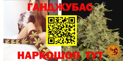 spice Моздок