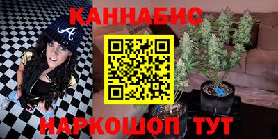 spice Моздок