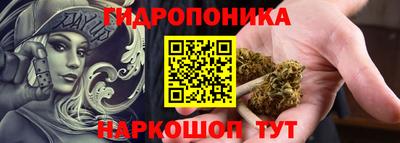 spice Моздок