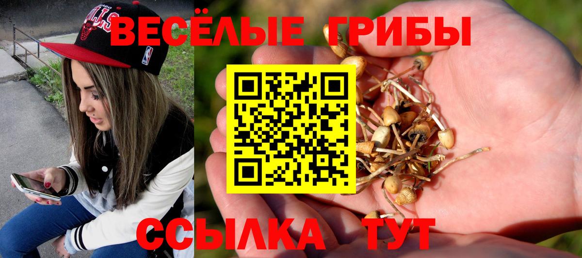 Углич  Псилоцибиновые грибы MAGIC MUSHROOMS  Вход с VPN  Псилоцибиновые грибы Psilocybe 