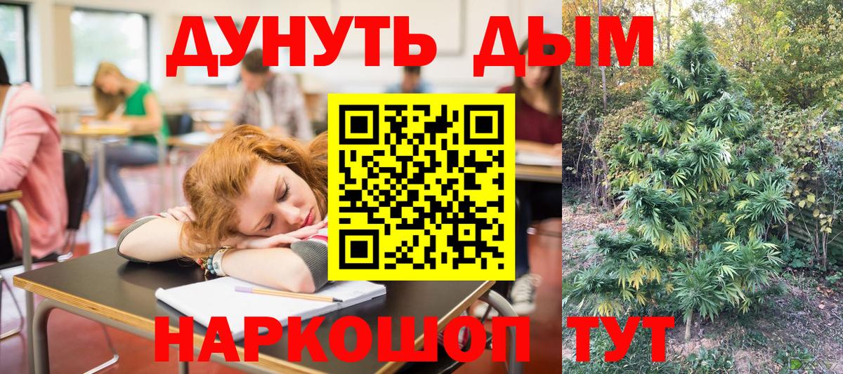 Каннабис план  Канабис OG Kush  Углич  Бошки Шишки планчик  Канабис Ganja  Вход с VPN 